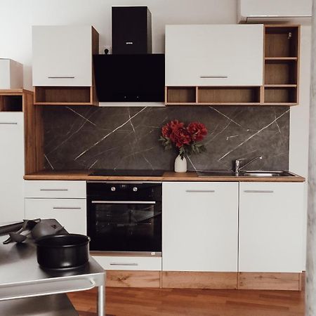 Central Apartment Maister Kranj Eksteriør billede