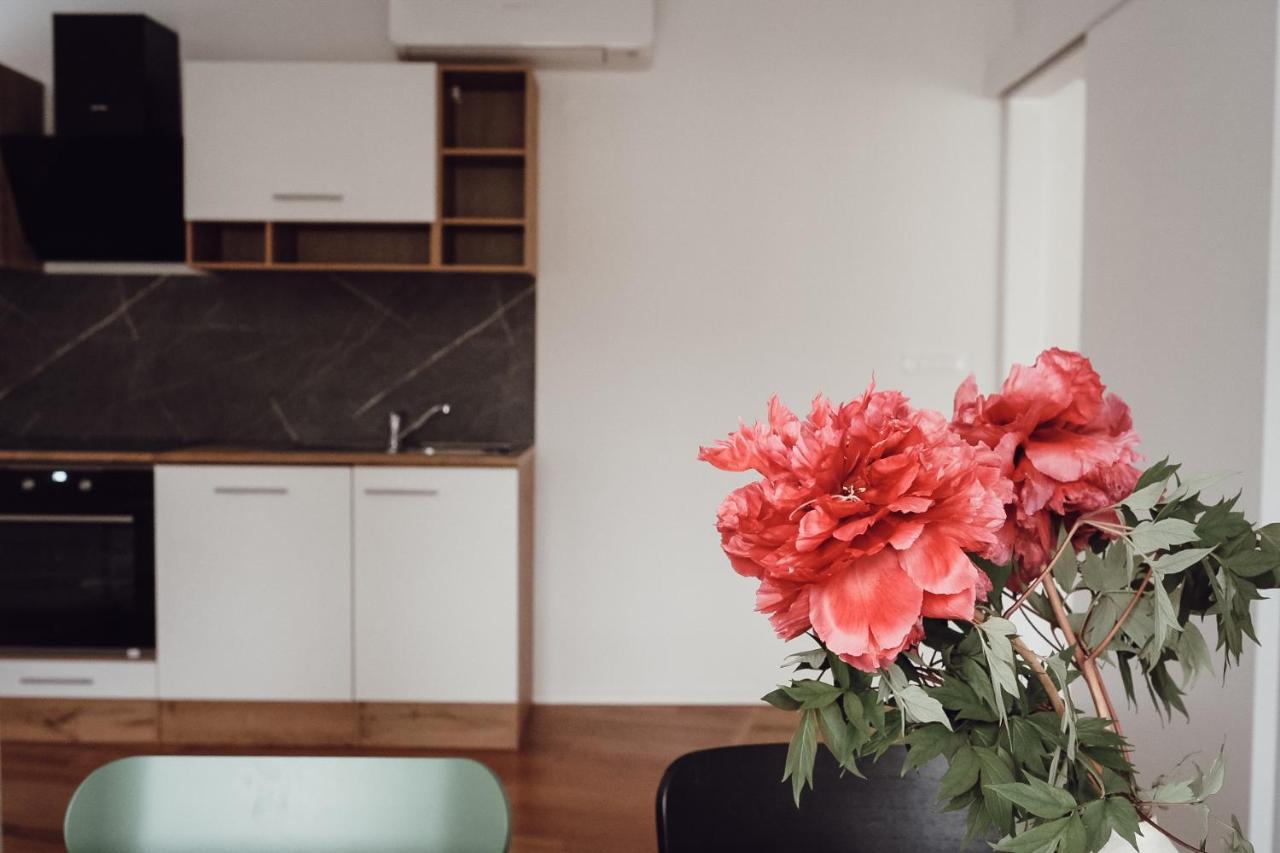 Central Apartment Maister Kranj Eksteriør billede
